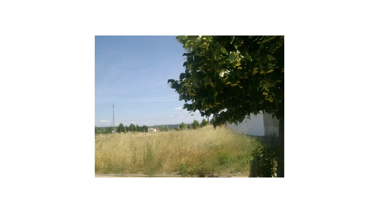 Terreno para Venda em São Miguel do Rio Torto e Rossio Ao Sul do Tejo Foto 3