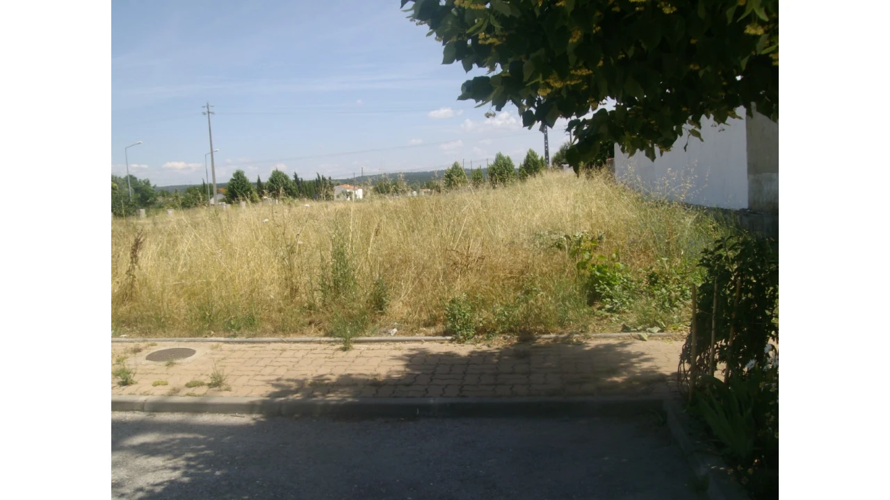 Terreno para Venda em São Miguel do Rio Torto e Rossio Ao Sul do Tejo Foto 4