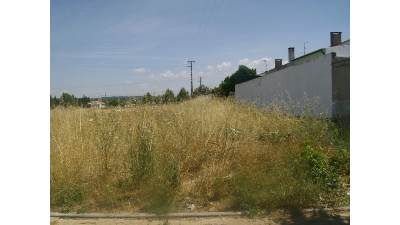 Terreno para Venda em São Miguel do Rio Torto e Rossio Ao Sul do Tejo Foto 6