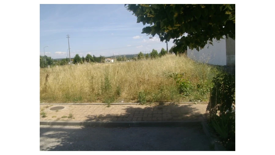 Terreno para Venda em São Miguel do Rio Torto e Rossio Ao Sul do Tejo Foto 1