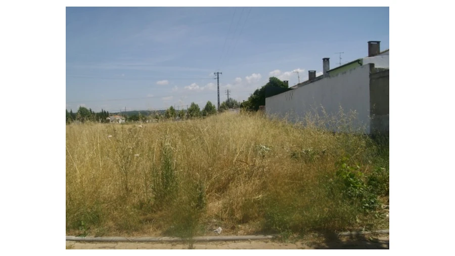 Terreno para Venda em São Miguel do Rio Torto e Rossio Ao Sul do Tejo Foto 2