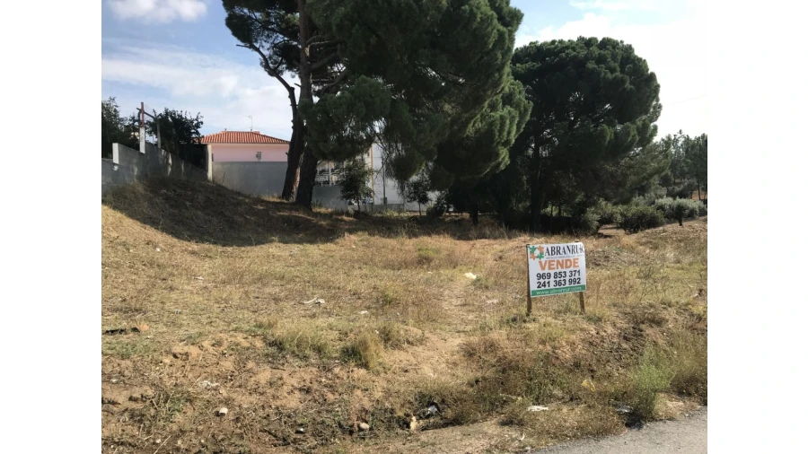 Terreno para Venda em Pego Foto 3