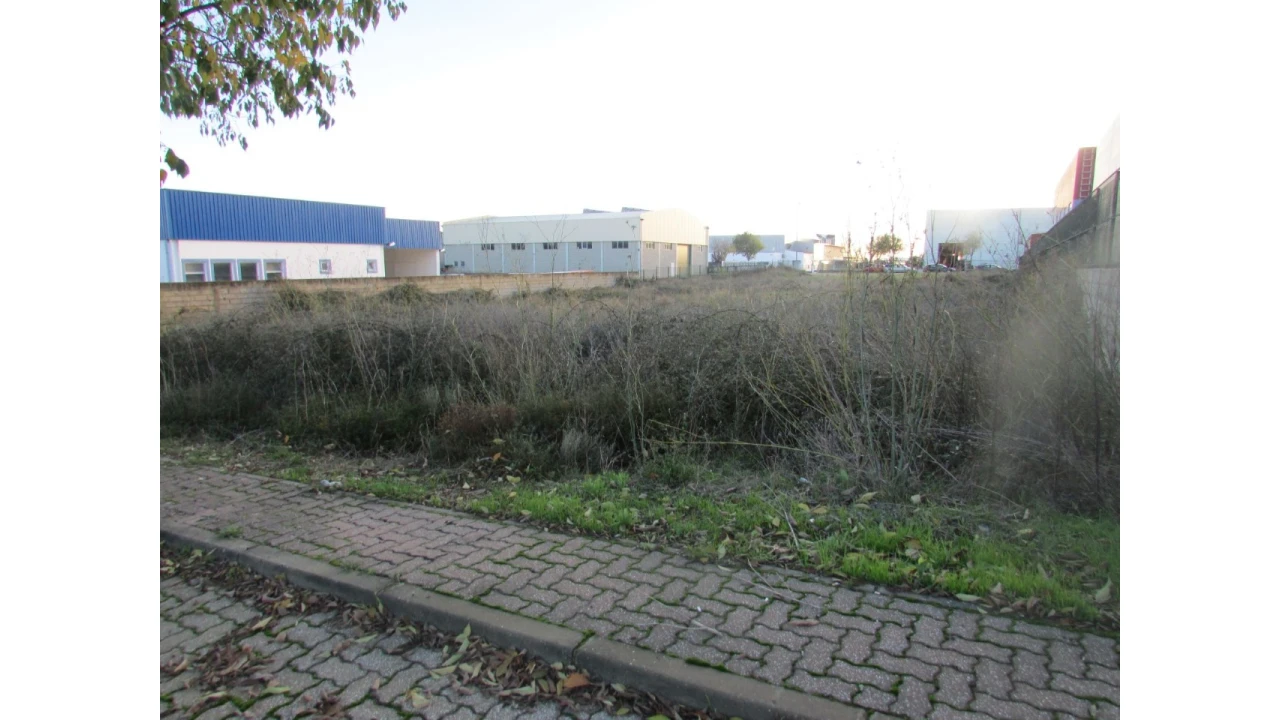Terreno Comércio / Armazém para Venda em Abrantes (São Vicente e São João) e Alferrarede Foto 1