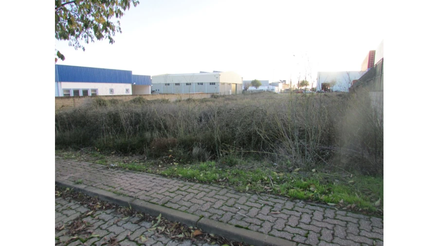 Terreno Comércio / Armazém para Venda em Abrantes (São Vicente e São João) e Alferrarede Foto 3