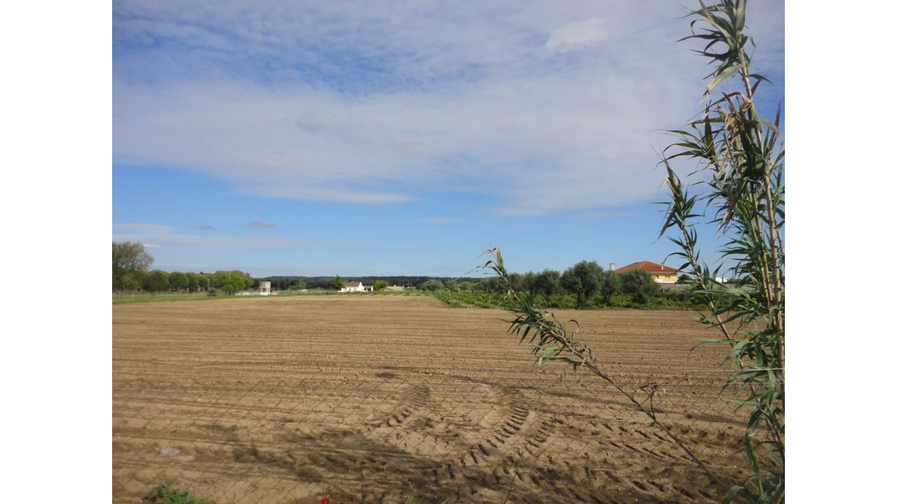Terreno para Venda em São Miguel do Rio Torto e Rossio Ao Sul do Tejo Foto 1