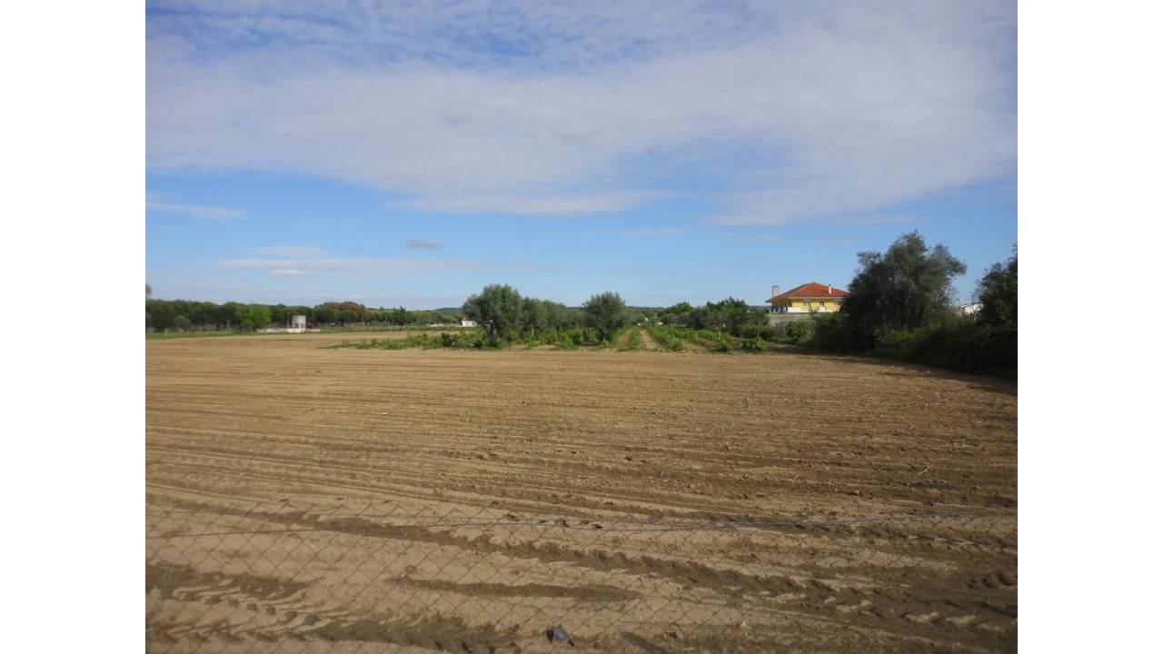 Terreno para Venda em São Miguel do Rio Torto e Rossio Ao Sul do Tejo Foto 2