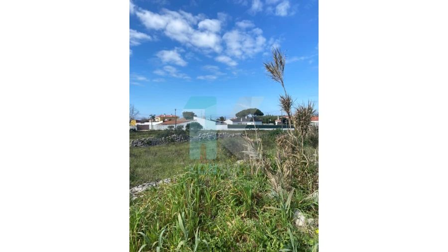 Terreno para Venda em São João das Lampas e Terrugem Foto 5