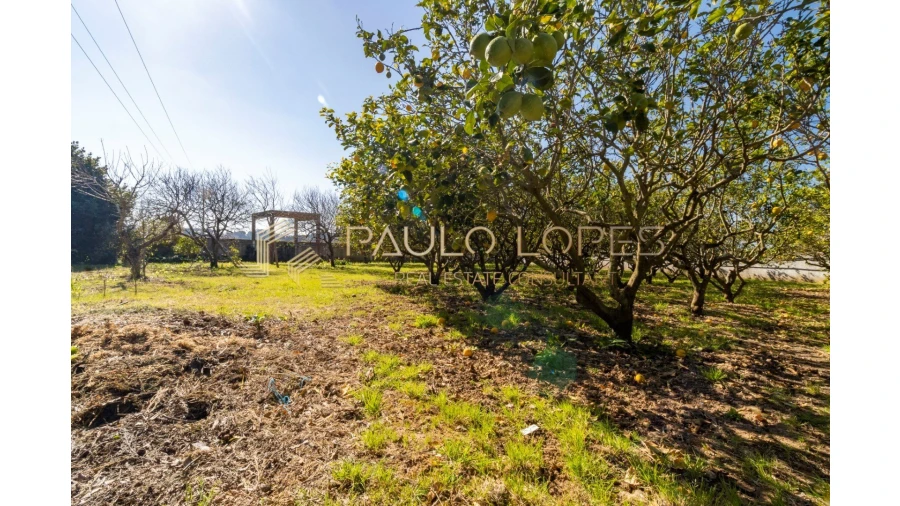 Quinta T10 para Venda em São Martinho do Porto Foto 74