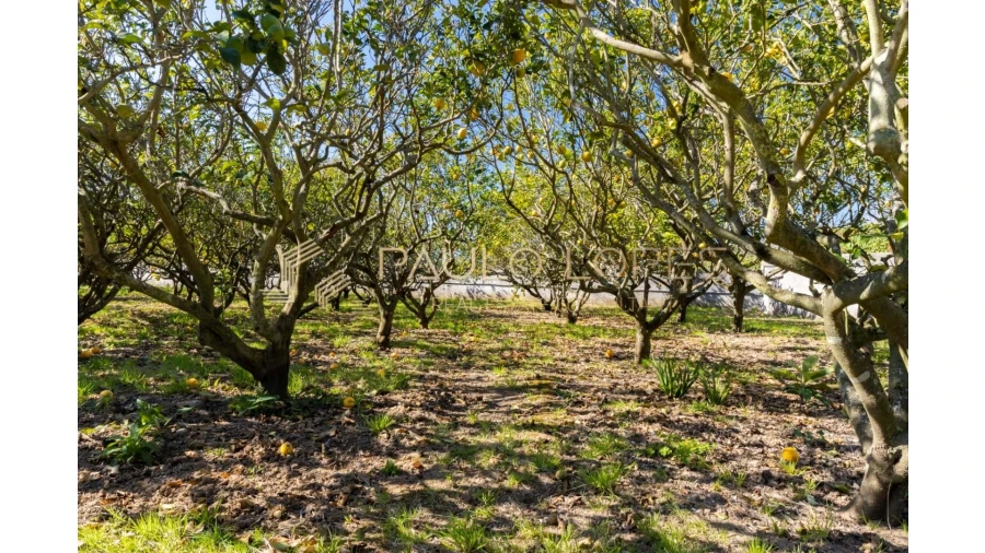 Quinta T10 para Venda em São Martinho do Porto Foto 75