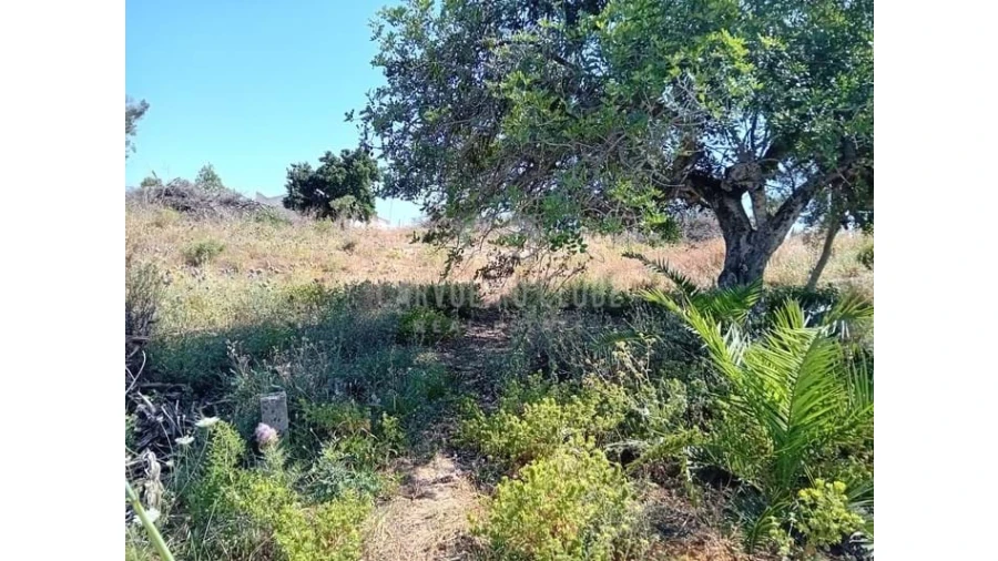 Terreno para Venda em Lagoa e Carvoeiro Foto 5