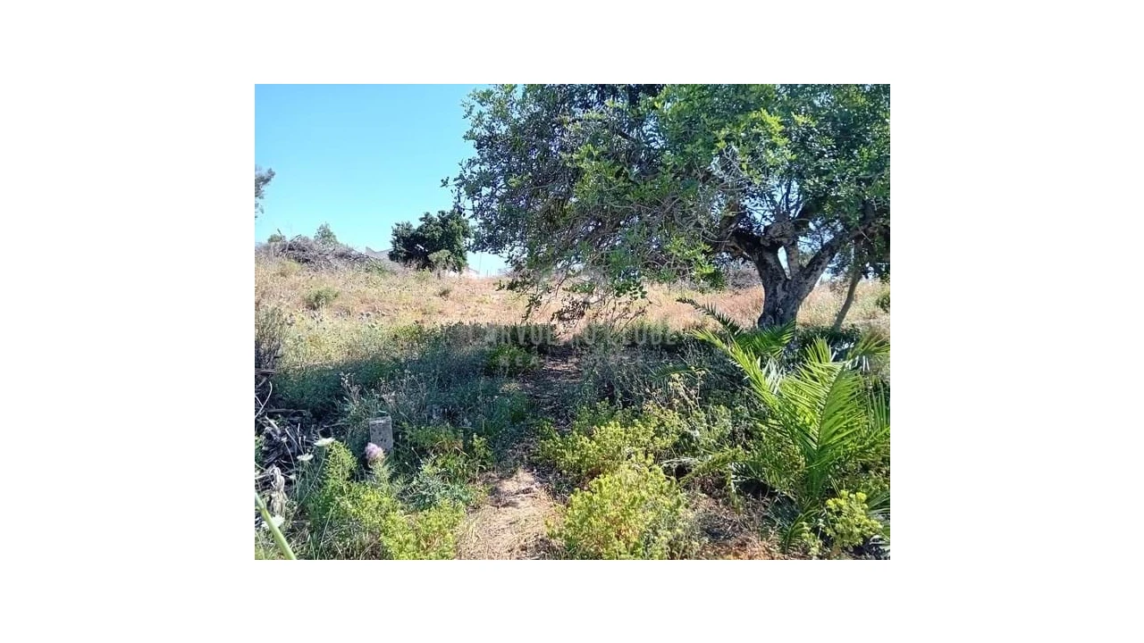 Terreno para Venda em Lagoa e Carvoeiro Foto 5