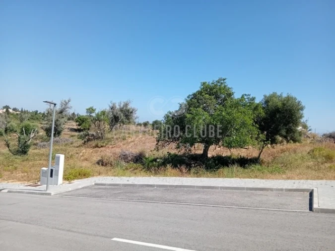 Terreno para Venda em Lagoa e Carvoeiro Foto 5