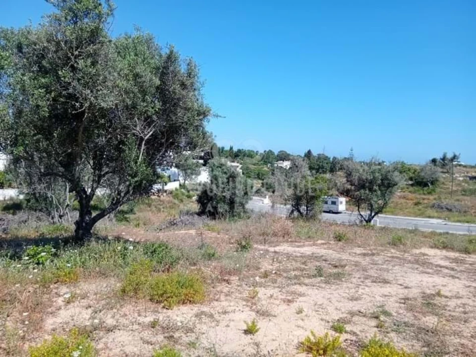 Terreno para Venda em Lagoa e Carvoeiro Foto 19