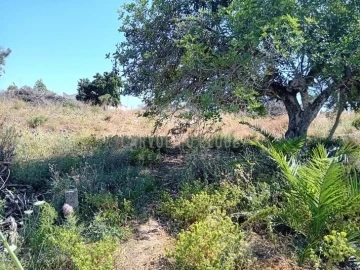 Terreno para Venda em Lagoa e Carvoeiro