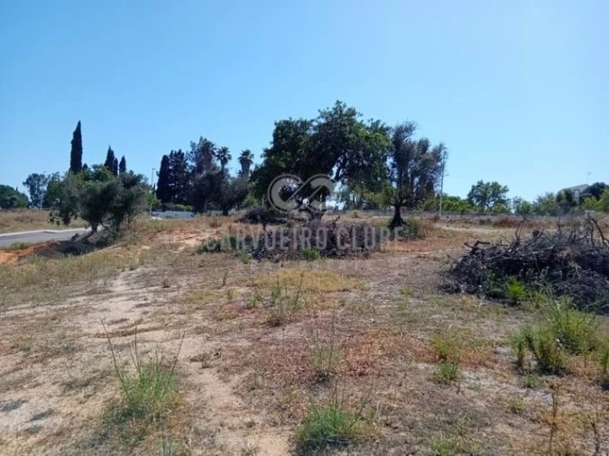 Terreno para Venda em Lagoa e Carvoeiro Foto 18