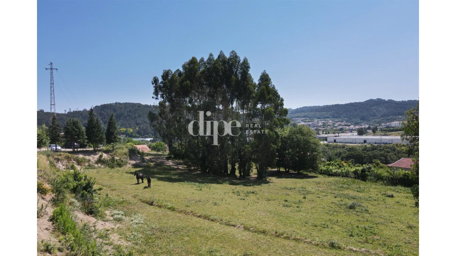 Terreno para Venda em Nespereira Foto 9