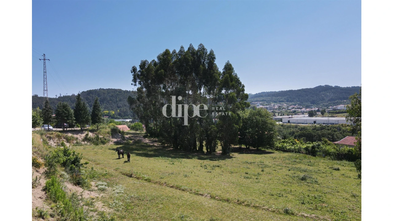 Terreno para Venda em Nespereira Foto 9