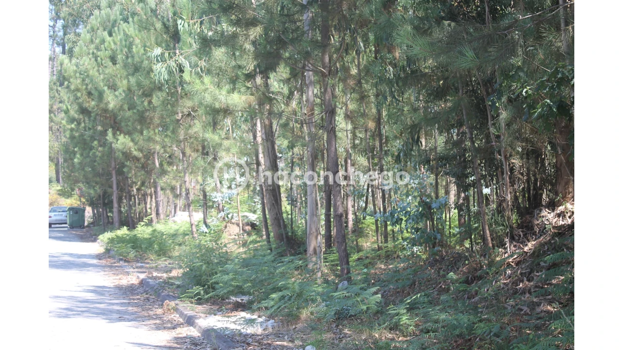 Terreno Agricola ou Rústico para Venda em Alvelos Foto 6