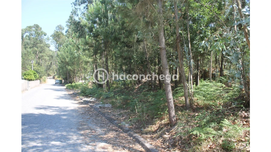 Terreno Agricola ou Rústico para Venda em Alvelos