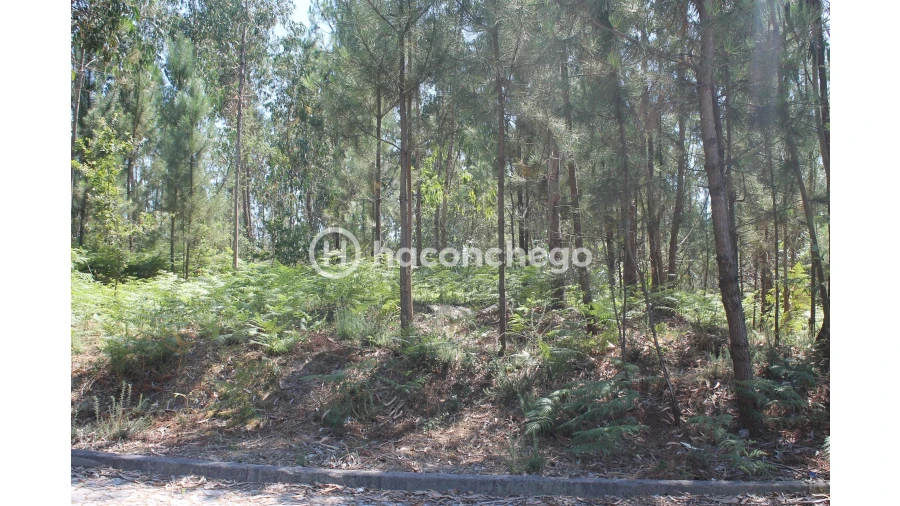 Terreno Agricola ou Rústico para Venda em Alvelos Foto 7