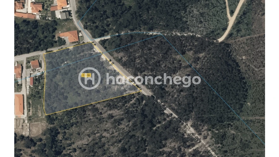 Terreno Agricola ou Rústico para Venda em Alvelos Foto 12
