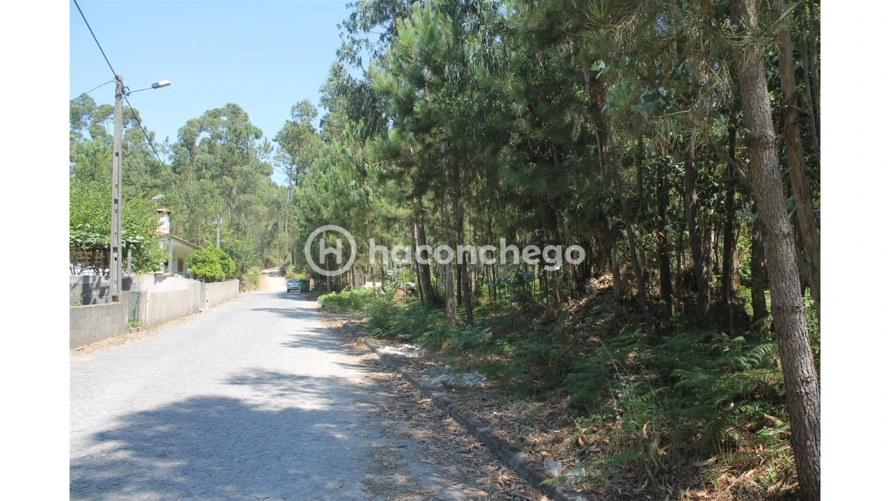 Terreno Agricola ou Rústico para Venda em Alvelos Foto 10