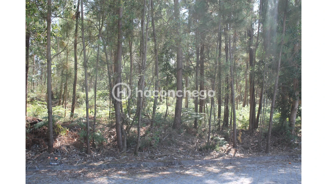 Terreno Agricola ou Rústico para Venda em Alvelos Foto 9