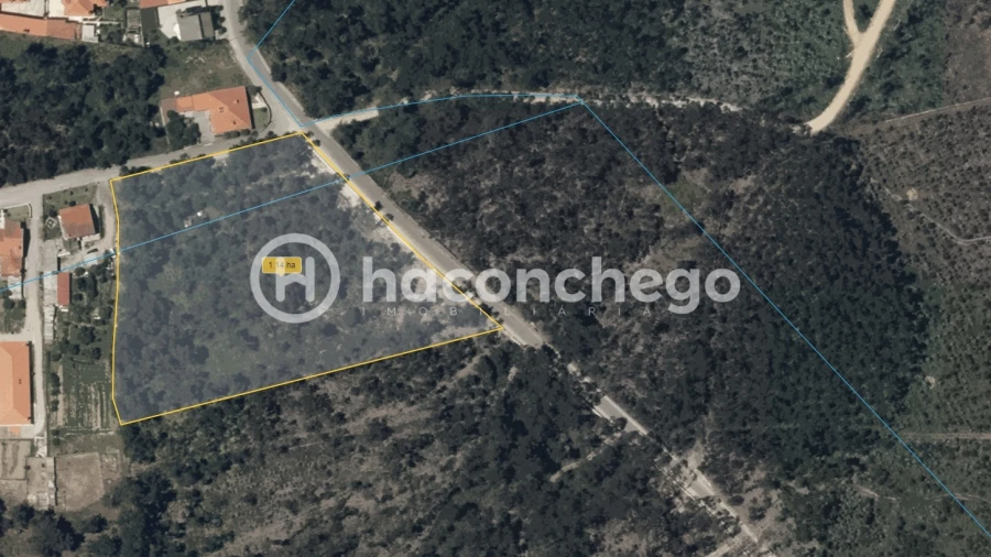 Terreno para Venda em Alvelos