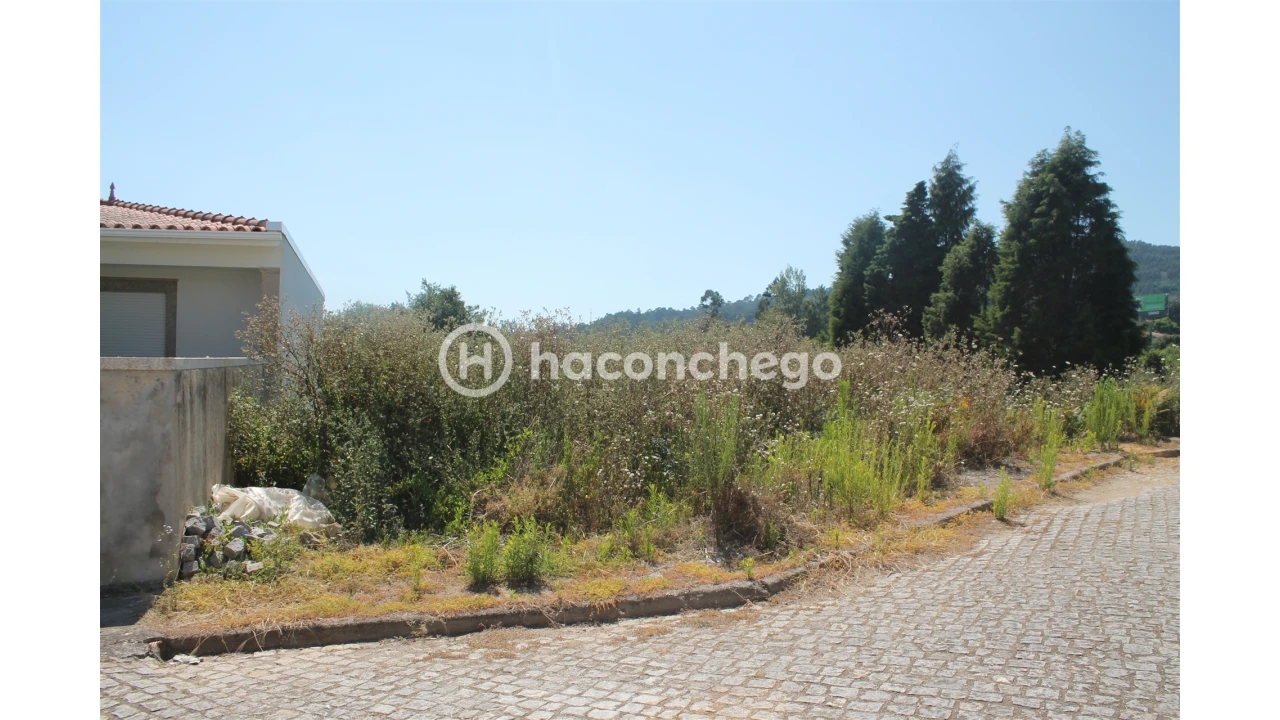 Terreno para Venda em Lama Foto 5