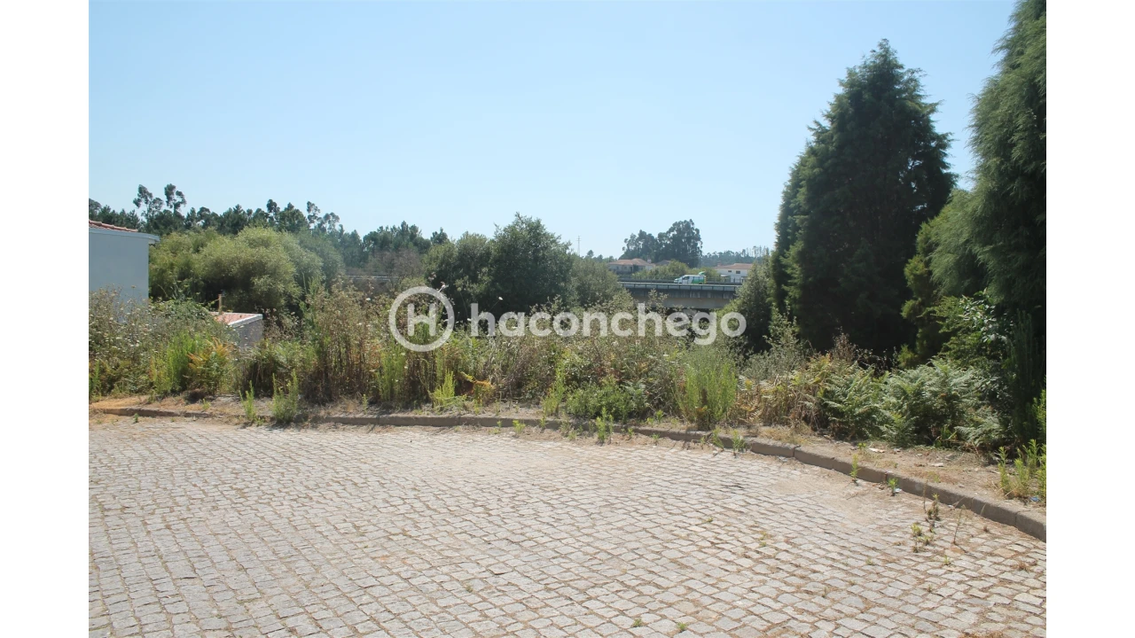 Terreno para Venda em Lama Foto 6