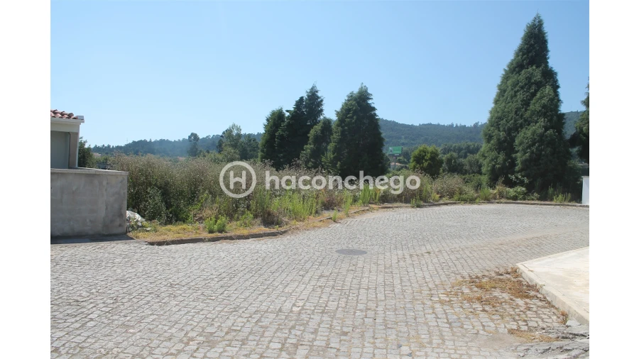 Terreno para Venda em Lama Foto 3