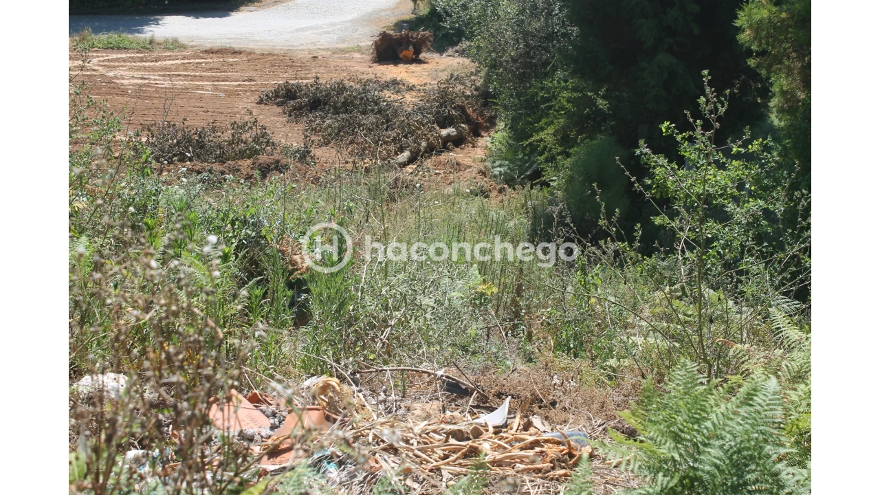 Terreno para Venda em Lama Foto 8