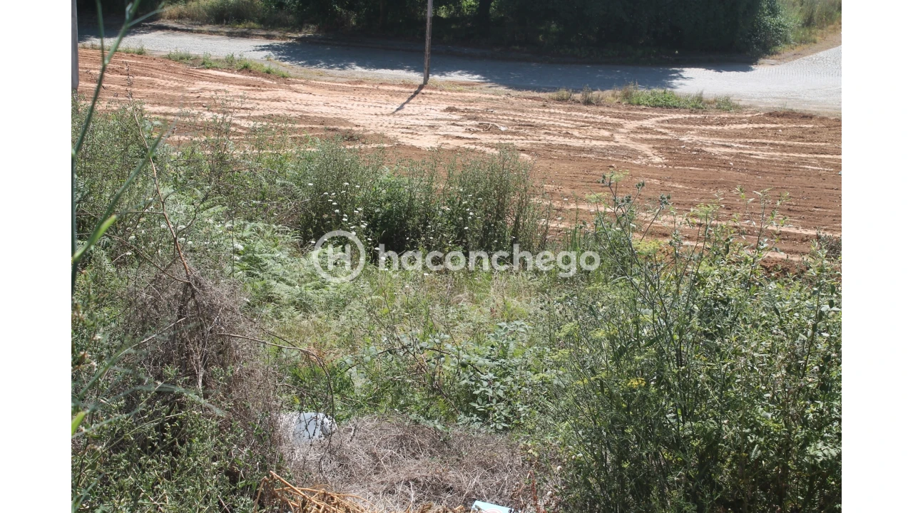 Terreno para Venda em Lama Foto 2