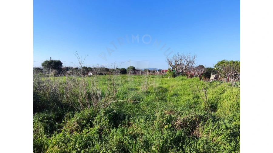 Terreno para Venda em Oeiras e São Julião da Barra, Paço de Arcos e Caxias Foto 11