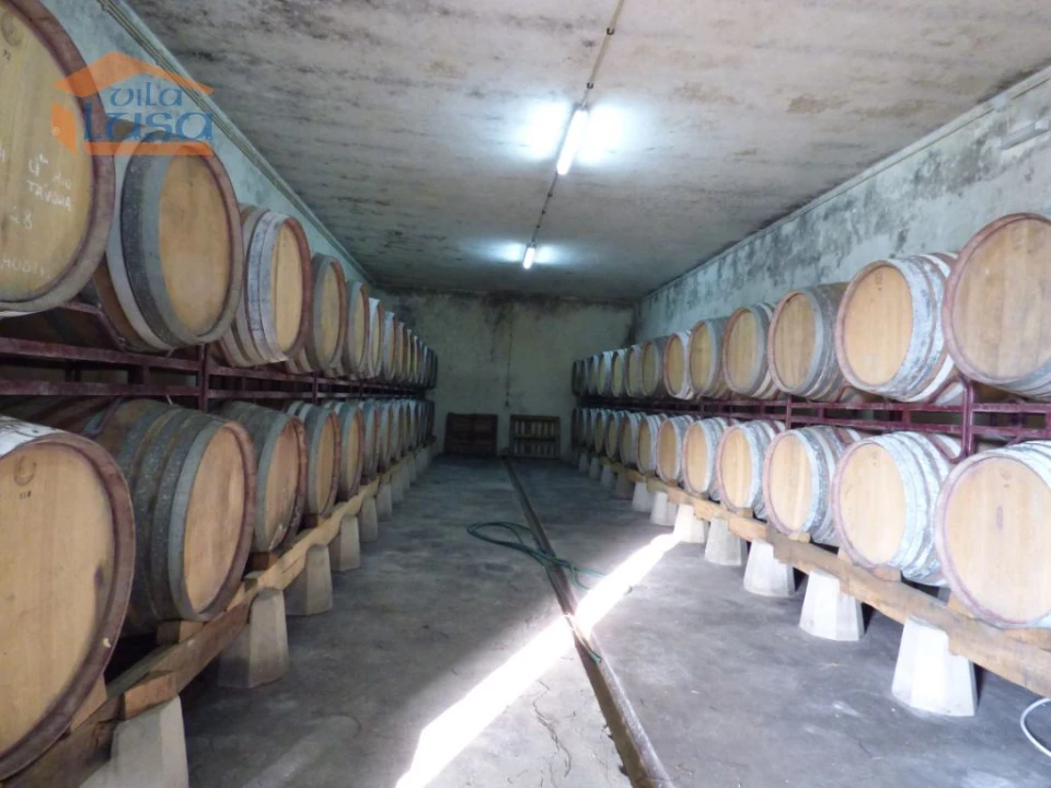 Quinta T6 para Venda em Tabuaço Foto 2