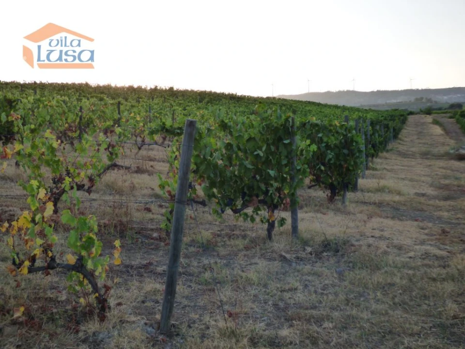 Quinta T6 para Venda em Tabuaço Foto 10