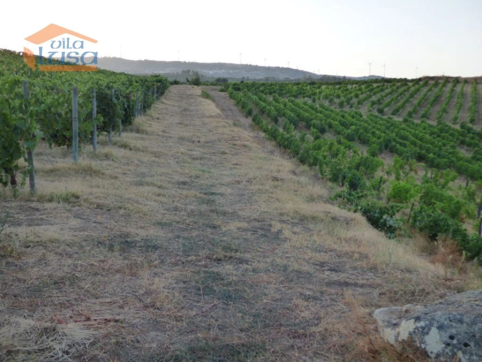 Quinta T6 para Venda em Tabuaço Foto 11