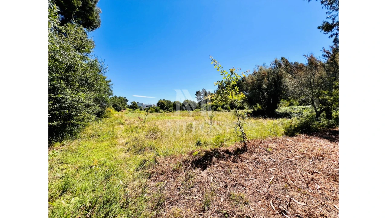 Terreno para Venda em Nogueira, Meixedo e Vilar de Murteda Foto 8