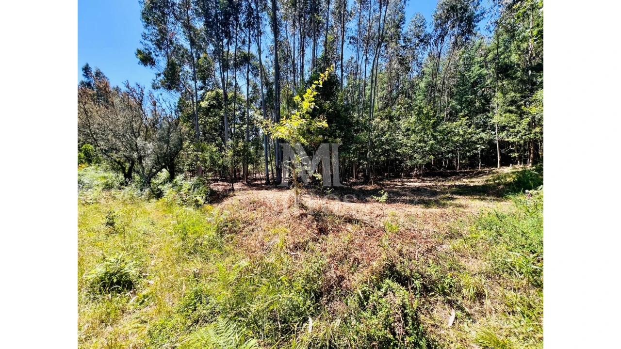 Terreno para Venda em Nogueira, Meixedo e Vilar de Murteda Foto 10