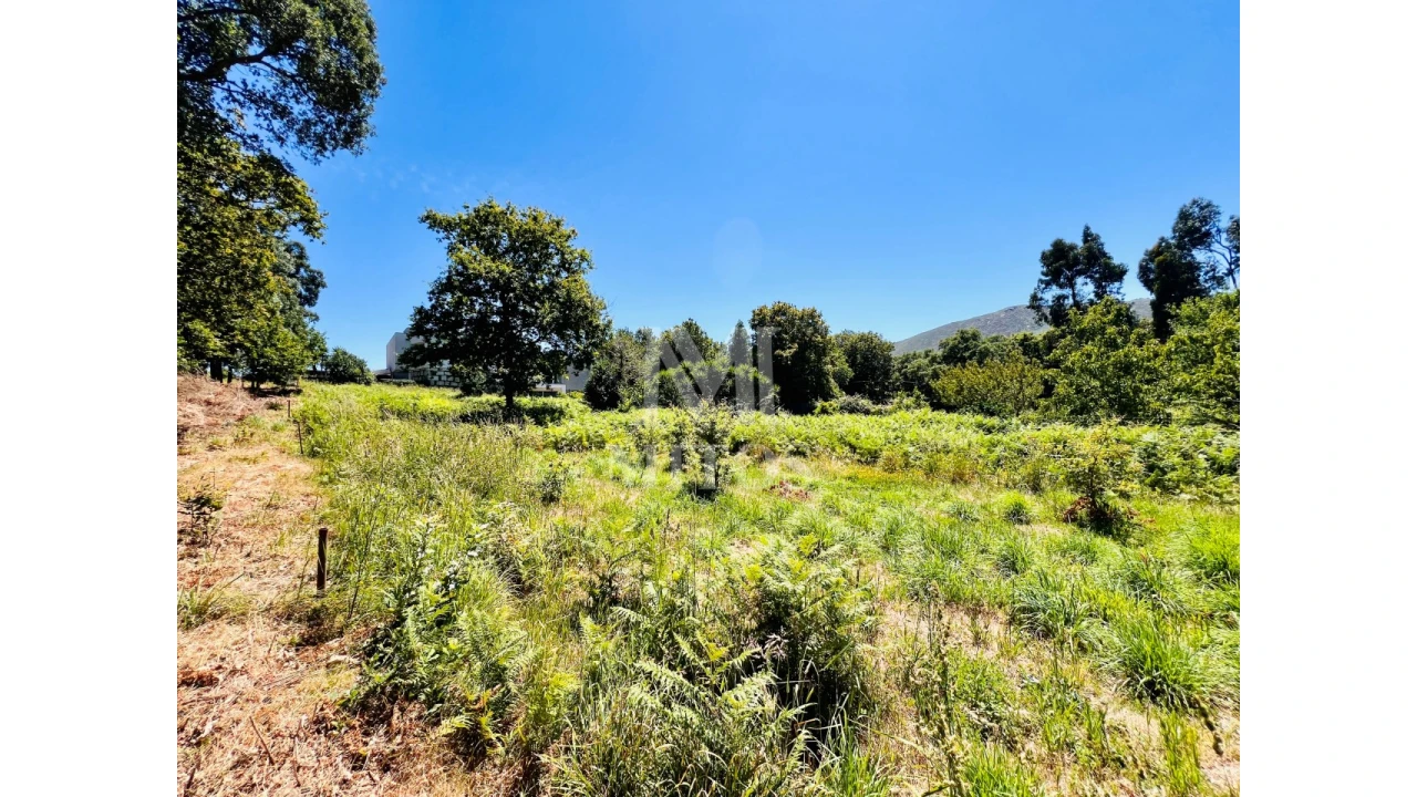 Terreno para Venda em Nogueira, Meixedo e Vilar de Murteda Foto 12