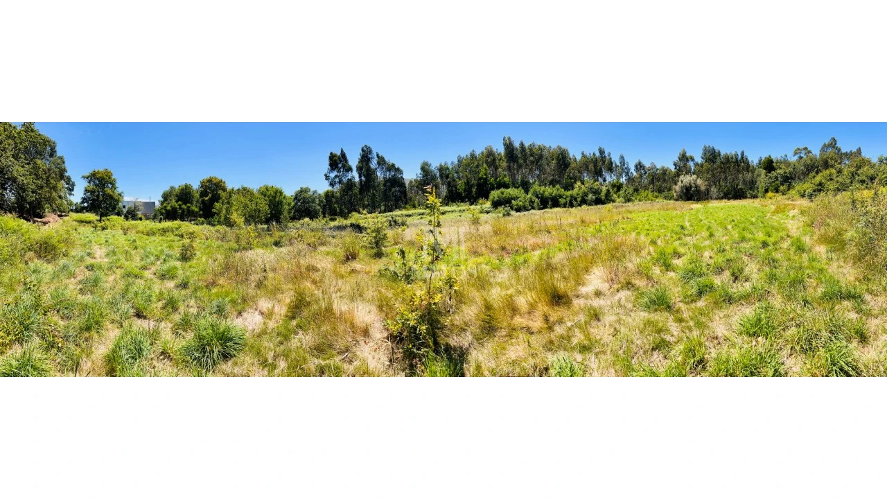 Terreno para Venda em Nogueira, Meixedo e Vilar de Murteda Foto 16
