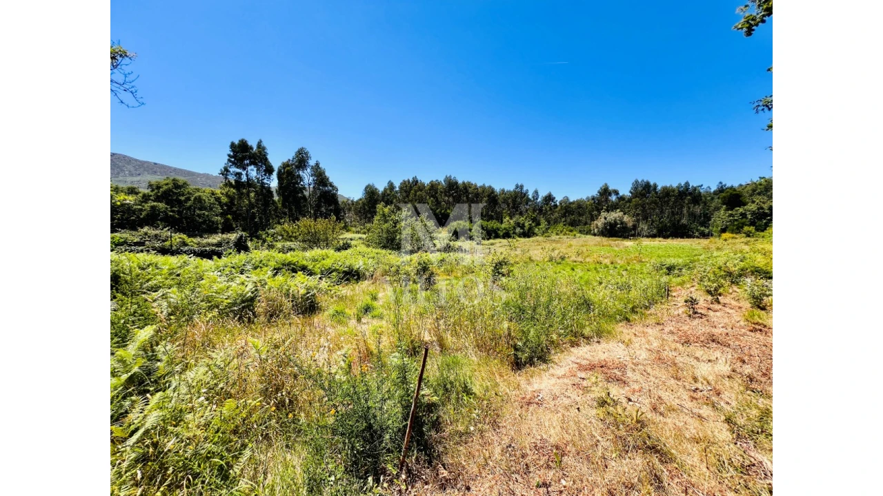 Terreno para Venda em Nogueira, Meixedo e Vilar de Murteda Foto 6