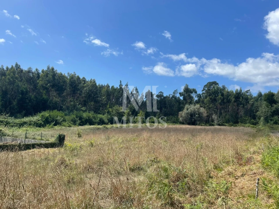 Terreno para Venda em Nogueira, Meixedo e Vilar de Murteda Foto 1