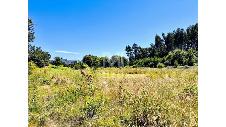 Terreno para Venda em Nogueira, Meixedo e Vilar de Murteda Foto 7