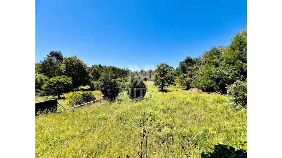 Terreno para Venda em Nogueira, Meixedo e Vilar de Murteda Foto 11