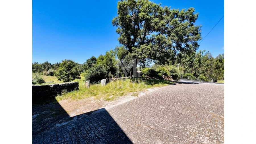 Terreno para Venda em Nogueira, Meixedo e Vilar de Murteda Foto 14