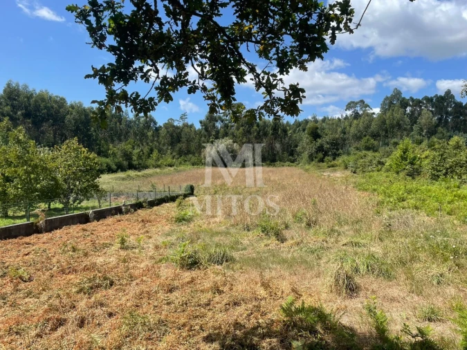 Terreno para Venda em Nogueira, Meixedo e Vilar de Murteda Foto 2