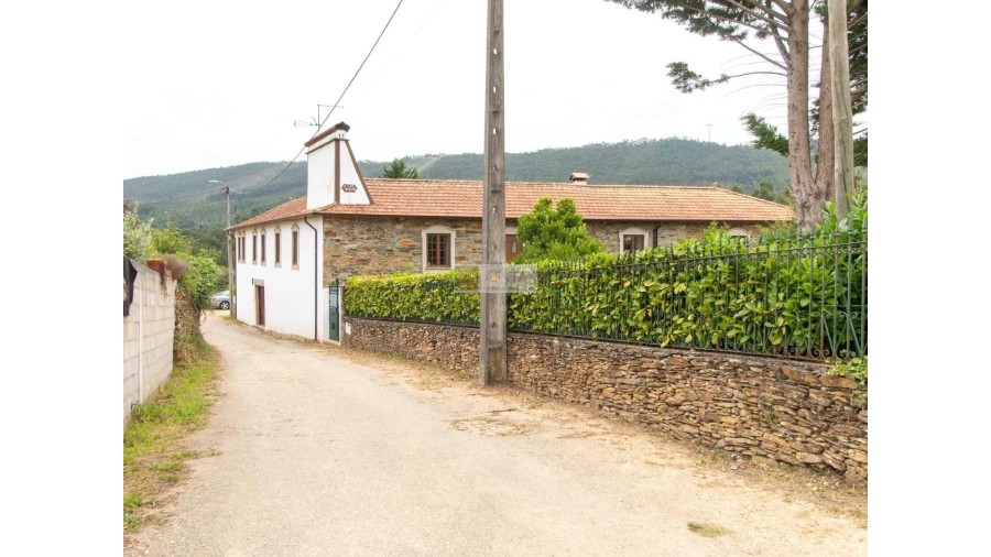 Quinta T7 para Venda em Aguiar de Sousa Foto 51