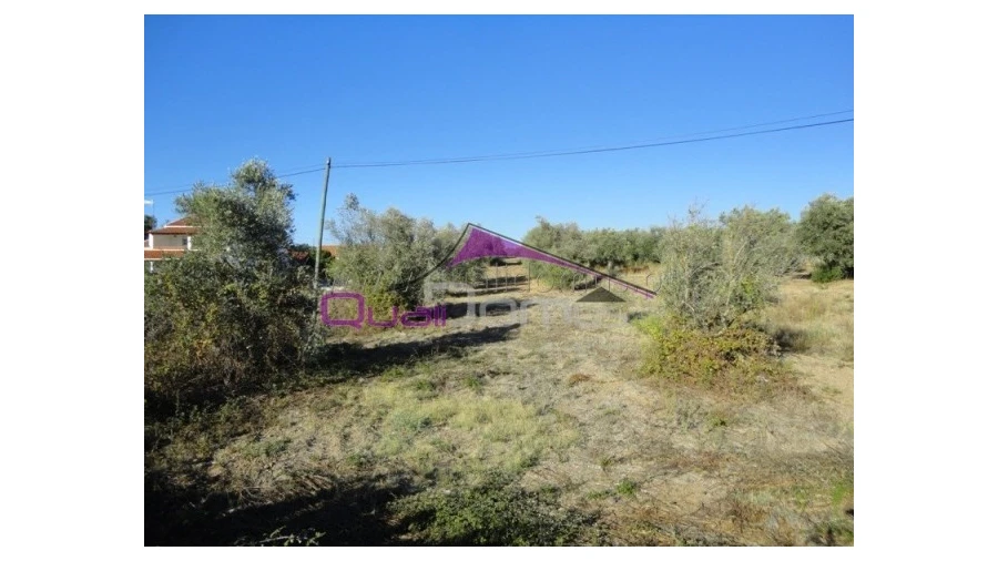Terreno Misto para Venda em Riachos