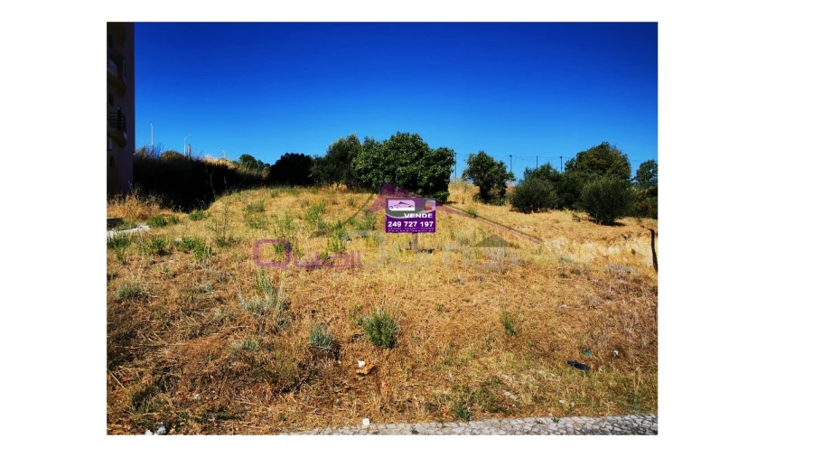 Terreno para Venda em Torres Novas (São Pedro), Lapas e Ribeira Branca Foto 2